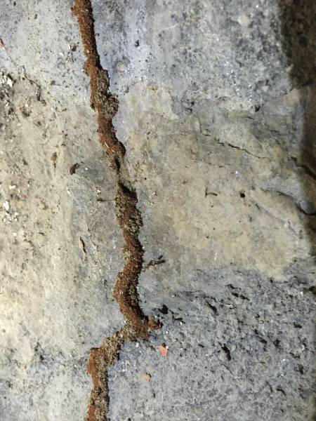 cordon de termite blaye