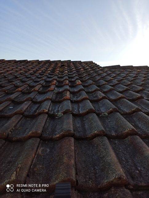 nettoyage et demoussage de tuiles à LACANAU