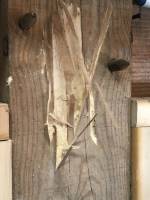 Nos prestations sur le secteur de Lesparre-Médoc 33340