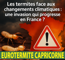 Nos prestations sur le secteur de Lesparre-Médoc 33340