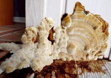 Notre zone d'activité pour ce service Devis nettoyage traces sur les murs