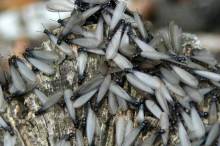 Nos prestations sur le secteur de Lesparre-Médoc 33340